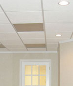 Basement Ceiling Tiles - Minnesota and Wisconsin